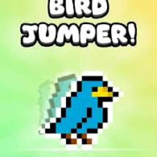 Bird Jumper